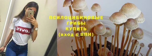 бошки Баксан
