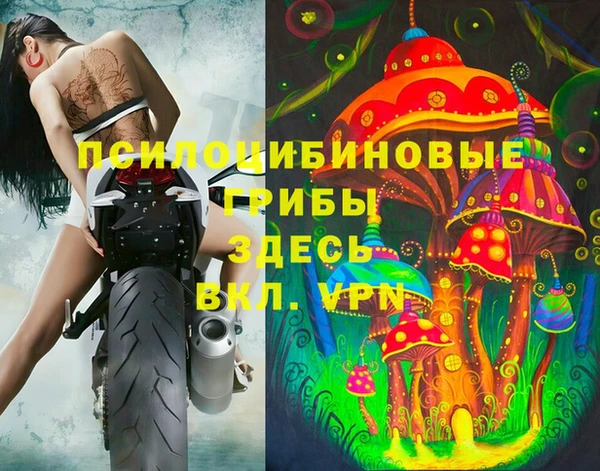 мдпв Балабаново