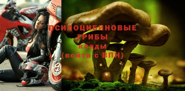 бошки Баксан